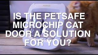 Review Petsafe Microchip Cat Door. Must watch before buying!