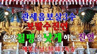 온갖 질병을 낫게 하는 진언/관세음보살 3수 보발수진언(寶鉢手眞言)혜봉스님 독송(010-4667-4557법등심)