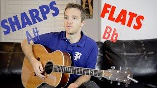 What is the Difference Between Sharps and Flats?