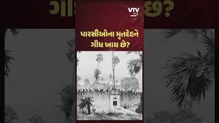 પારસીઓની અંતિમવિધિ હોય છે સૌથી અલગ, જાણીને નવાઈ લાગશે | VTV Gujarati