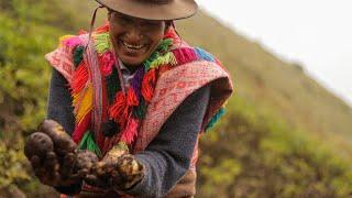 Opening the Earth: The Potato King | Trailer | #NFF2020