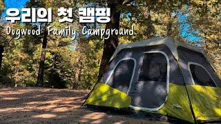 미국캠핑 | 우리의 첫 캠핑, 캘리포니아 Lake Arrowhead, Dogwood Family Campground