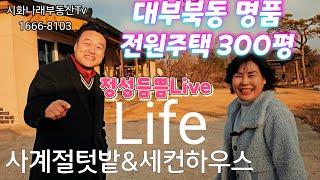 [명품 부동산Live] 대부도 300평 사계절텃밭 정성이 듬쁨 담긴 전원주택 스토리(문의)010-5238-3483