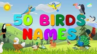 50 Birds for Kids and Toddlers Learning | Birds Names | English Vocabulary | Kids Learning