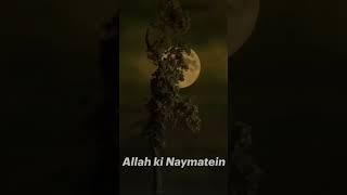 #ALLAH KI NAYMATEIN#SHUKR GUZAR BANDE BANO#allah#muhammadﷺ#viral#trending#islamicvideo#ytshortshare