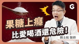 果糖上癮比嗜酒可怕？水果能吃嗎？醫師教你避開「最油」碳水炸彈｜初日診所 魏士航醫師 (常吃火鍋也會高尿酸嗎?內附健康吃鍋神技＆糖危害預防指南）