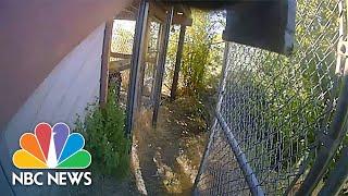 'Do A Head Shot!': Bodycam Shows Owner Asking Police To Kill Pet Chimpanzee