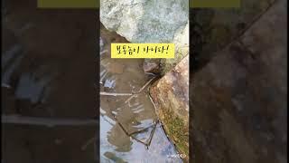 캠핑장 계곡에 사는 괴물의 정체는?