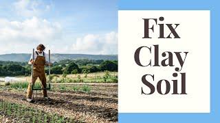 Soil Solutions: Improving Heavy Clay Soil For Vegetables