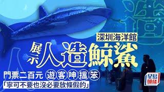 人造鯨鯊｜深圳海洋館展人造鯨鯊 遊客喊退票｜中國｜深圳｜鯨鯊｜水族館｜人造機械魚｜小梅沙｜星島頭條新聞