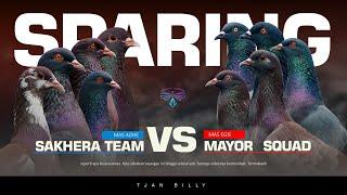 EXCITING!! DUEL PIGEON CHICKEN VS PIGEON PLAYER ELITE TEAM AT TEGAL PADEL LAUNCH