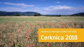 Mladinski ornitološki raziskovalni tabor "Cerknica 0218"