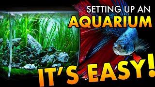 HOW TO: Set Up an Aquarium | Step by Step | Tips & Tricks