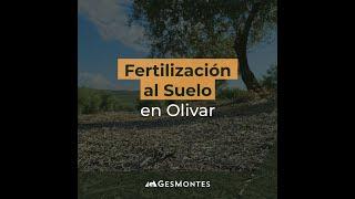 FERTILIZACIÓN AL SUELO EN OLIVAR