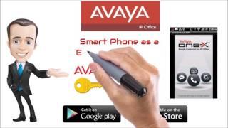 Avaya Phone System