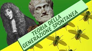 Generazione Spontanea: da Aristotele a Redi | Pillole di Scienza