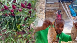 RastaMan in Jamaica Plant Fruit & Vegetable At The Seaside In The Sand What’s The Name Of This Fish?