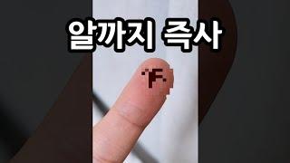 빈대에는 이게 직빵입니다 (발견 즉시 이거부터 하세요)