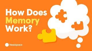 How Does Memory Work? From A Neuroscience Researcher