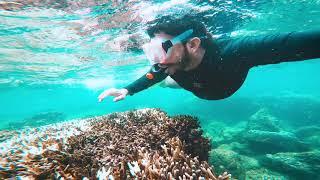 Snorkeling Sri Lanka - Pigeon Island Trincomalee 2020