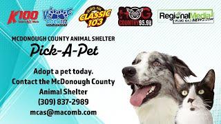 K100's Pick-A-Pet Wednesdays w/ McDonough County Animal Shelter & Vick!