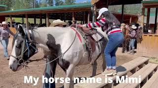 Horseback Riding #2022 #summer #southdakota #hillcity #horseriding #palmergulch