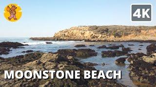 4K Moonstone Beach Cambria Walking Tour |  Binaural Sound