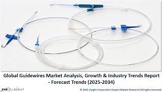 Guidewires Market Size, Growth Forecast 2025–2034 | Expert Market Research
