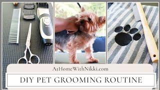 DIY Pet Grooming Routine