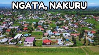 This is Ngata, Nakuru, Residential Area with Acres of Farmland