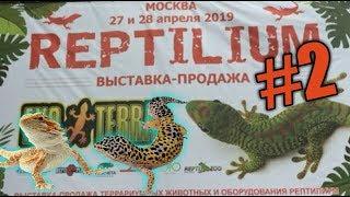REPTILIUM #2 / 2019 МОСКВА ВЫСТАВКА-ПРОДАЖА / ГОНКИ СПИНОХОДОВ / ПРОБУЕМ СВЕРЧКОВ И ЗОФОБАСА