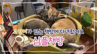 동대구역 핫플 | 고양이가 있는 책방 | 심플책방 | 고양이 알레르기도 이겨내게 만든 극강의 귀여움 | 대구 독립서점