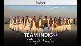 We are Indigo - Meet the Team | Indigo Consultants