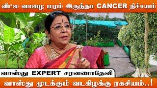 வீட்டில் வடகிழக்கில் செடி வளர்த்தால் பிரச்சனையா ?  | vadakilakku vastu | இறை தேடி | Irai Thedi