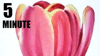 5 minute Watercolor painting Pink Tulip