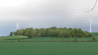 Woodland near Fleam Dyke Earthworks Cambridgeshire UK 19may2021 411p DBW