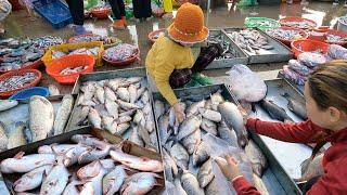 Awesome Fish Market Scenes Early Morning - Fish, Seafood, Vegetables & People Activities |Papa