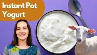 How to Make Instant Pot Yogurt from Sheep's Milk