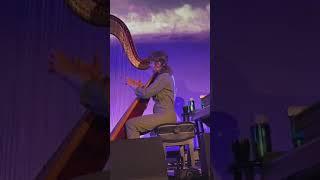 Joanna Newsom, live at Hollywood Forever Masonic Lodge 5/27/24 FULL SET livestream