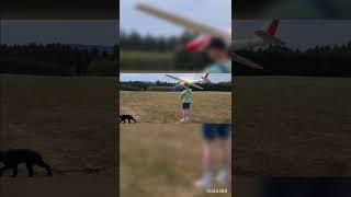 Fox 3m #modellbau kleiner süßer Hund #modellbau #modellflug #flieger #model