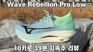 드디어 뒤꿈치 달린 미즈노 최상위급 카본화 등장 !!! 웨이브 리벨리온 프로 로우 Wave Rebellion Pro Low