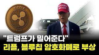 "트럼프가 밀어준다"…리플, 블루칩 암호화폐로 부상
