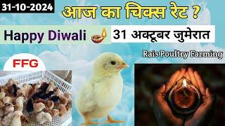 Today Broiler & Ffg Rate | 31/10/2024 | Aaj Ka Chicks Rate ? New Chicks Rate Update 31 Oct Thursday