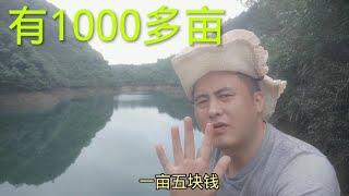 山里1000多亩水库，承包5块一亩，没人敢要