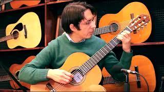 Alexander Vinitsky Blues in Em (Guitar)