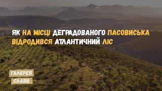 Ліс замість пасовиська. Як ініціатива рятує планету. Сім'я Салгаду та їх проект "Institutto Terra"