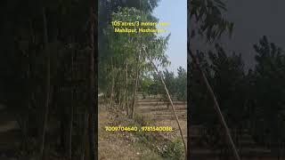 105 acres/ 3 motors near Mahilpur , Hoshiarpur. #farming #agriculturelandforsale