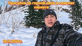 РЫБАЛКА НА ХАРИУСА 16.11.2024г.