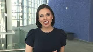 Paola Morales, Telemundo | Día de los Muertos Virtual Festival 2020