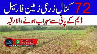 72 Kanal Agricultural Land For Sale in Chakwal Punjab Zari Raqba for sale